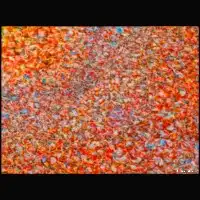 Collage L Orange (2025)